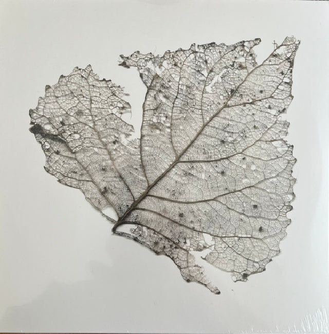 Telescopes - Hungry audio tapes (LP) - Discords.nl