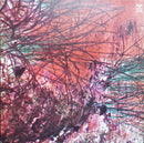 Zior - Zior (LP Tweedehands) - Discords.nl