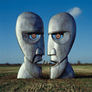 Pink Floyd - The Division Bell (LP Tweedehands) - Discords.nl
