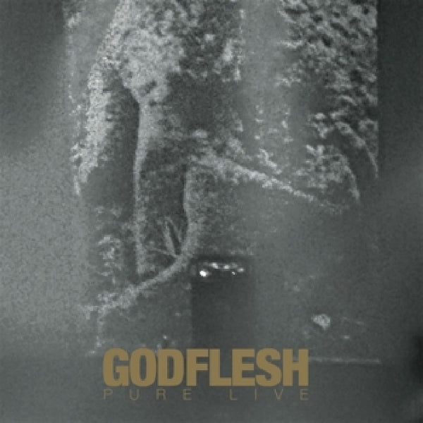 Godflesh - Pure: live (LP)