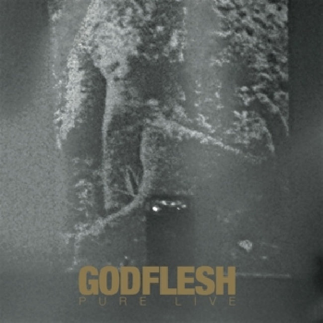 Godflesh - Pure: live (LP)