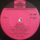 Lovin' Spoonful, The - Daydream (LP Tweedehands) - Discords.nl