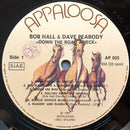 Bob Hall (3) & Dave Peabody - Down The Road Apiece (LP Tweedehands)