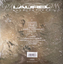 Laurel - Palpitations (LP) - Discords.nl