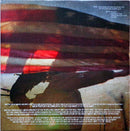 Rise Against - Endgame (LP)