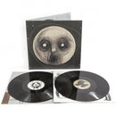 Steven Wilson - Raven That Refused To Sing  (LP) - Discords.nl