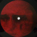 Anna von Hausswolff - Dead Magic (LP) - Discords.nl