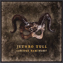 Jethro Tull - Curious Ruminant (LP) - Discords.nl