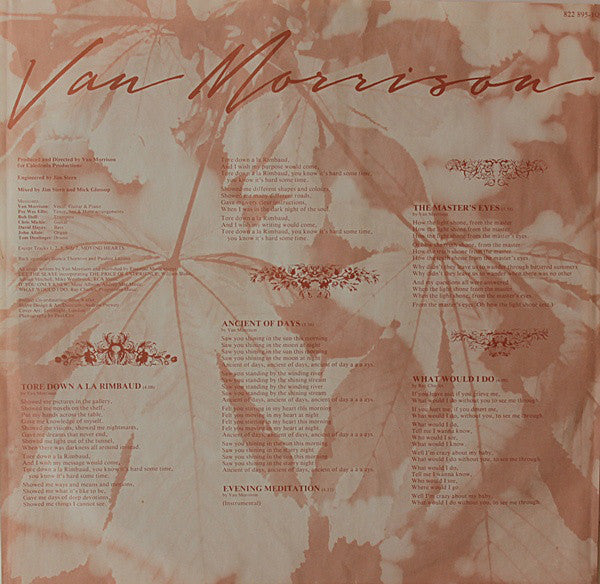 Van Morrison - A Sense Of Wonder (LP Tweedehands)