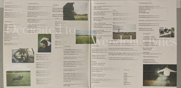 Blood Orange (2) - Essex Honey (LP) - Discords.nl