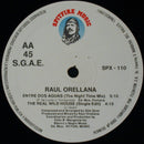 Raúl Orellana - The Real Wild House (12" Tweedehands)