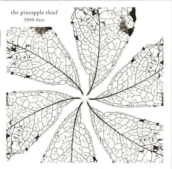 Pineapple Thief, The - 3000 Days (CD)