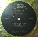 David Kushner - Footprints I Found (LP) - Discords.nl