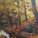 Tyler Childers - Snipe Hunter (LP) - Discords.nl