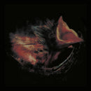Gurriers - Nobody's Coming To Save You (LP)