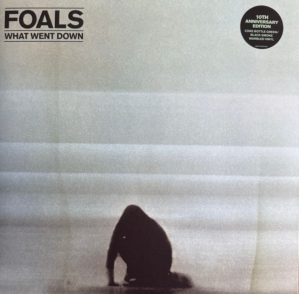 Foals - What Went Down (LP)