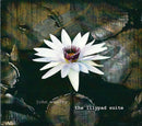 John Wesley (3) - The Lilypad Suite (CD Tweedehands)