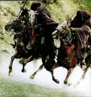 Howard Shore - The Lord Of The Rings: The Fellowship Of The Ring (Original Motion Picture Soundtrack) (CD Tweedehands)