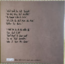 Fink - Beauty In Your Wake (LP) - Discords.nl