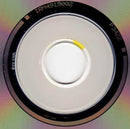 Sarah Jane Morris - Fallen Angel (CD) - Discords.nl