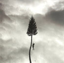Manchester Orchestra - A Black Mile To The Surface (LP) - Discords.nl