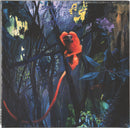 Bonnie "Prince" Billy - We Are Together Again (CD)