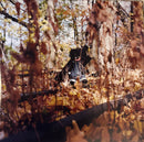 Billy Woods - Golliwog (LP) - Discords.nl