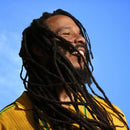 Ziggy Marley - Brightside (CD) - Discords.nl
