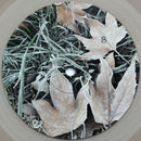 David Eugene Edwards - Hyacinth (LP) - Discords.nl