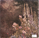 Felix Mendelssohn-Bartholdy / Max Bruch / Pyotr Ilyich Tchaikovsky / Jean Sibelius, Ruggiero Ricci - Favourite Violin Concertos (LP Tweedehands) - Discords.nl