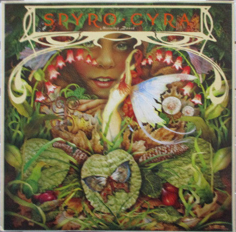 Spyro Gyra - Morning Dance (LP Tweedehands) - Discords.nl