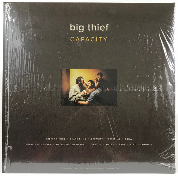 Big Thief : Capacity (LP, Album)