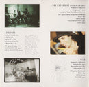 Joe Satriani : The Extremist (CD, Album)