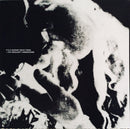 Monster Magnet : Spine Of God (LP, Album, Ltd, RE, Gat)