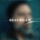 Fink : Resurgam (2xLP, Album)