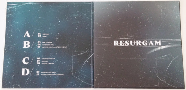 Fink : Resurgam (2xLP, Album)