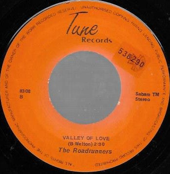 The Roadrunners (14) : Rockin' In The Mountains / Valley Of Love (7", Single)