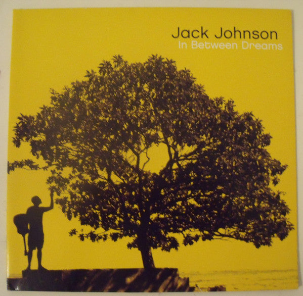Jack Johnson : In Between Dreams (LP, Album)