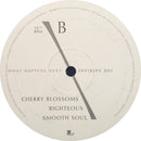 Joe Satriani : What Happens Next (2xLP, Album)