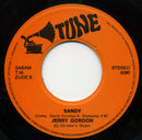 Jerry Gordon (4) : Het Ritme Van De Rock En Roll  (7", Single)