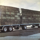 Gram Parsons : GP (LP, Album, RE, Gat)