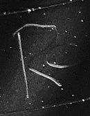 Allen Toussaint : From A Whisper To A Scream (LP, Album, RE)