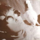 Bongwater : Too Much Sleep (LP, Album, Gat)