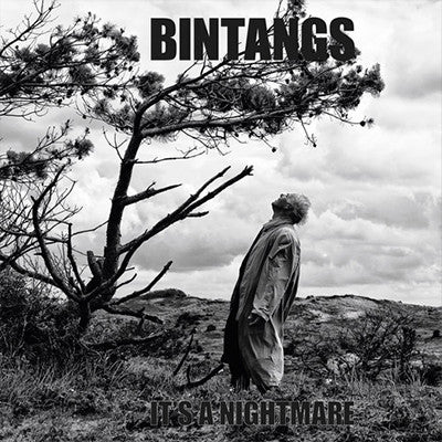 Bintangs : It's A Nightmare (CD, Album)