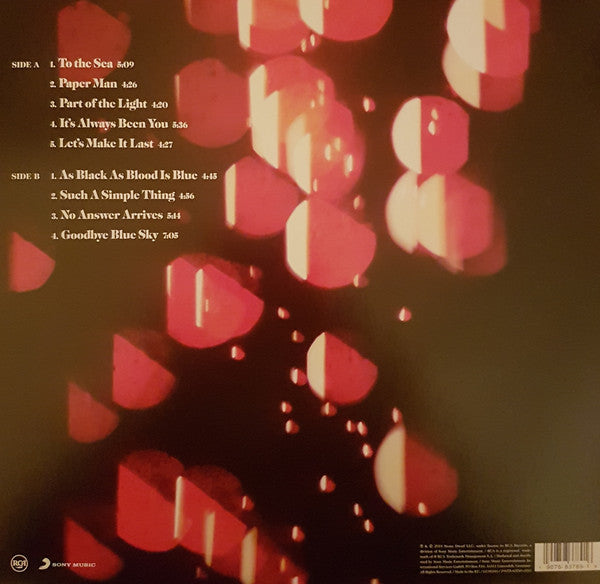 Ray Lamontagne : Part Of The Light (LP, Album, Cle)