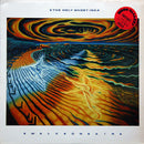 Holy Ghost Inc. : Walk On Air (12")