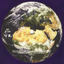 Prince : Planet Earth (LP, Album, Ltd, RE, Len)