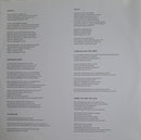 Damien Jurado : In The Shape Of  A Storm (LP, Album)