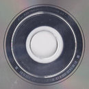 Tindersticks : The Hungry Saw (CD, Album)