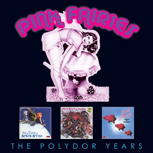 The Pink Fairies : The Polydor Years (3xCD, Album, RM + Box, Comp)